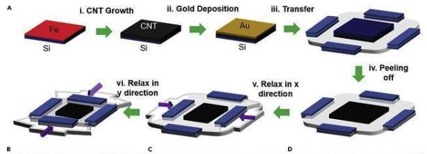 太阳城官网(中国)集团有限公司