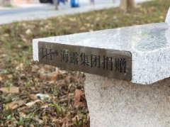 集团党支部落实大花圃经济联社“民生微项目”，提升居民人民幸福感