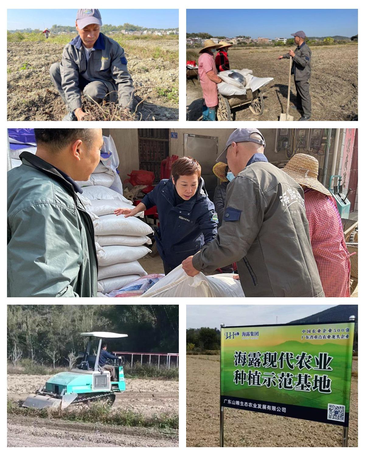 1-230110101S62U JDB电子·(中国区)试玩平台-JDB电子游戏官网