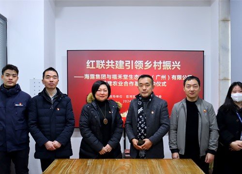 红联共建引领村落振兴，党建促业务深度融合