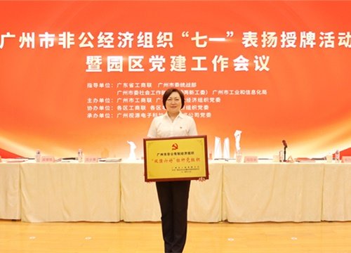 标杆引领，荣誉升级！集团党支部荣膺广州市非公有造经济组织“双强六好”标
